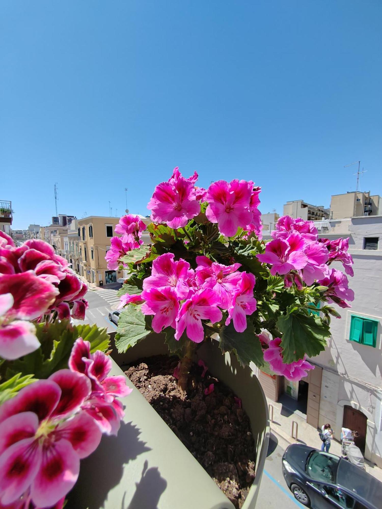 Palazzina Dimora Cavour Daire Monopoli Dış mekan fotoğraf